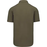 Light khaki