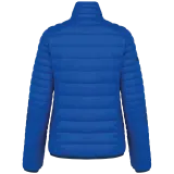 Light Royal Blue