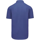 Cobalt Blue