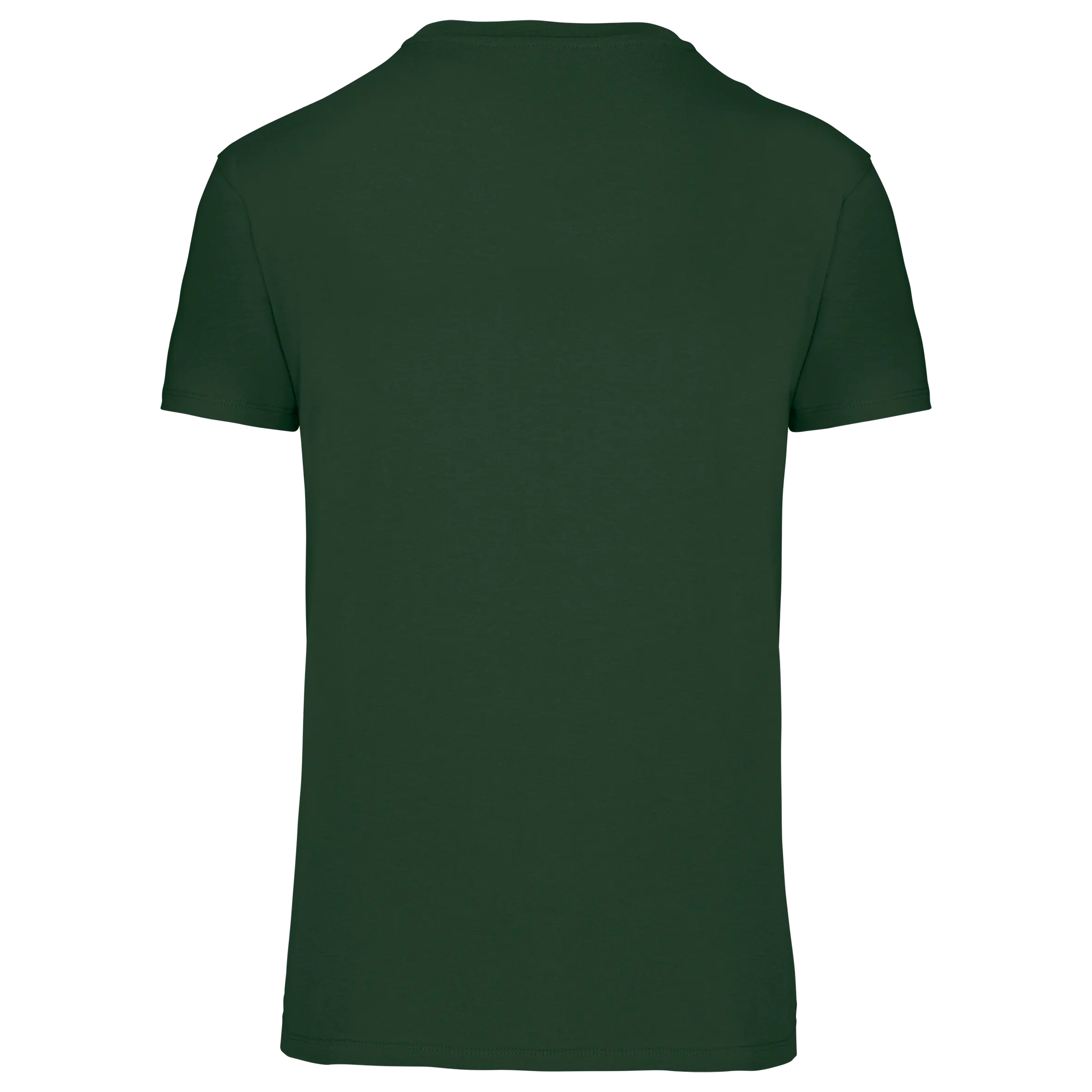Camiseta BIO150 IC cuello de pico hombre