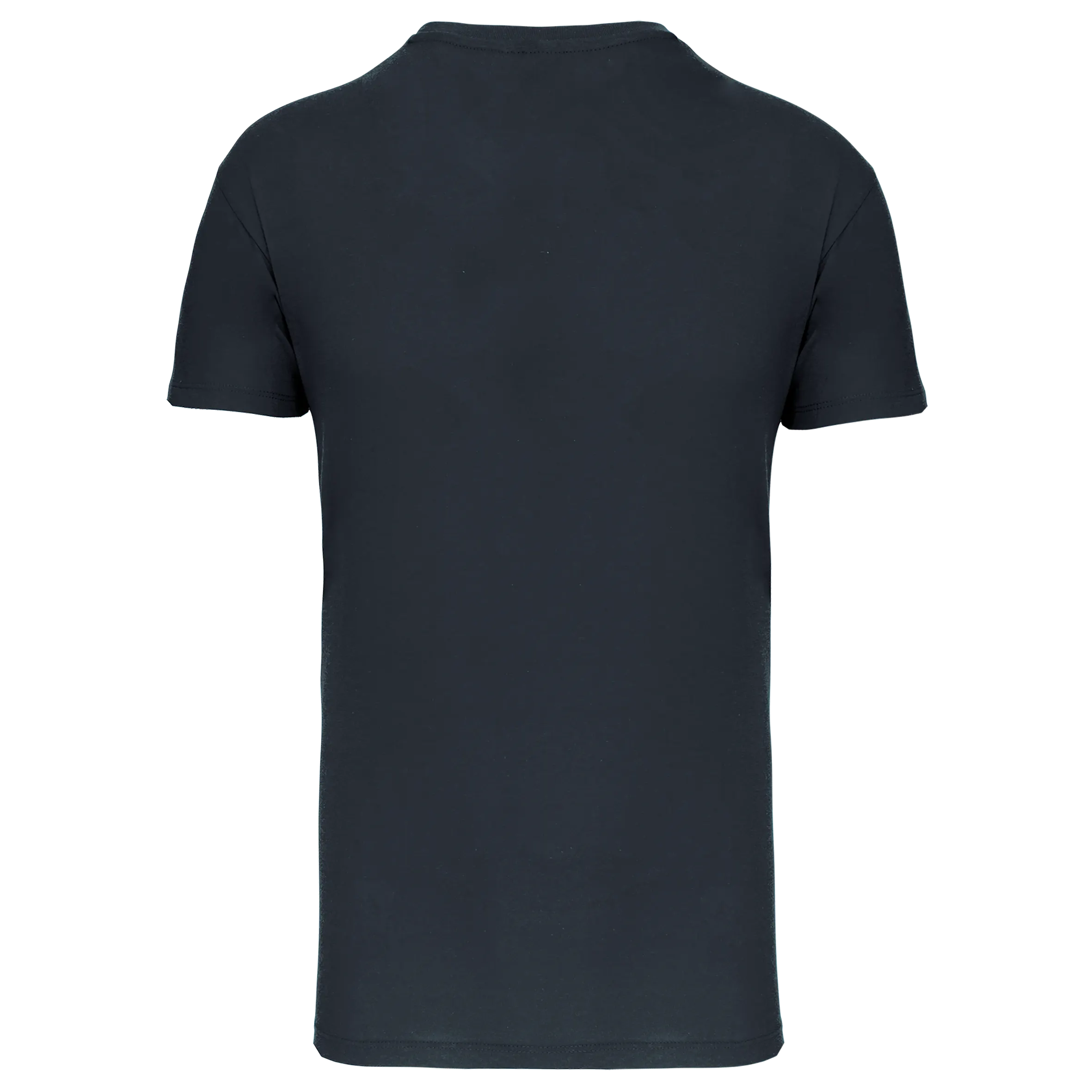 Camiseta BIO150 IC cuello de pico hombre