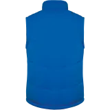 Light Royal Blue