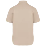Angora