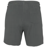 Iron Grey