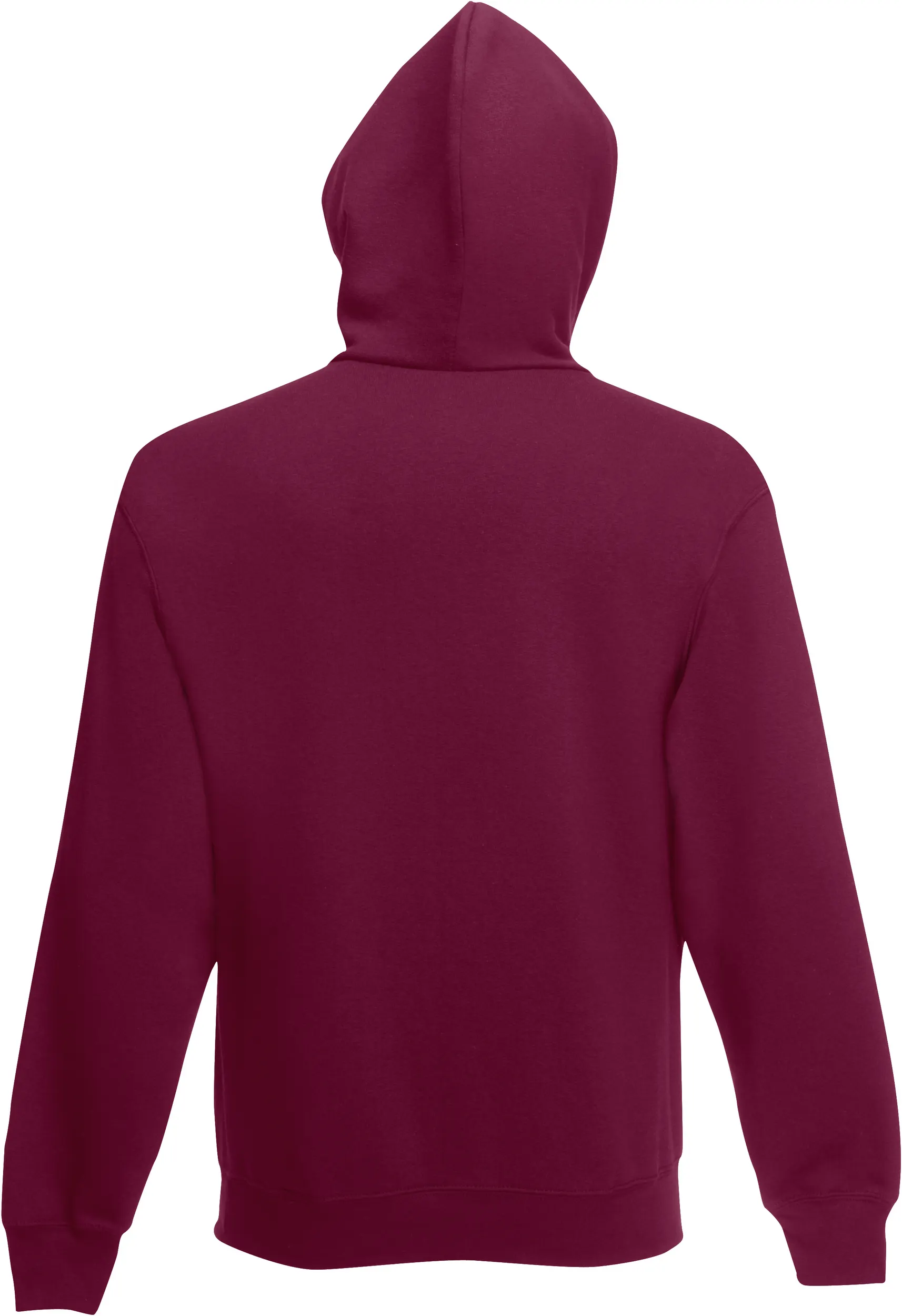 Sudadera Premium capucha