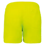 Fluorescent Yellow