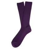 Deep Plum