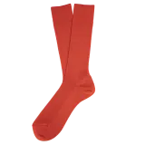 Paprika