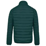 Mineral Green
