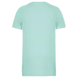 Ice Mint