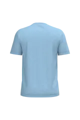 Cloudy blue heather