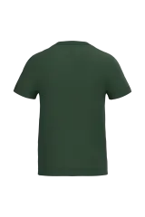 Ideal Forest Green