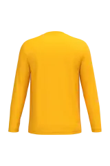 Ideal Gold
