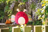 Peluches Squidgy's