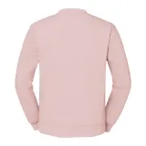 Powder Rose