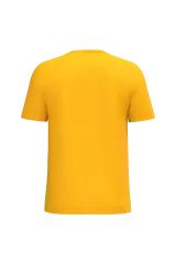 Ideal Gold