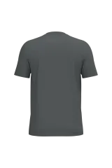 Iron Grey