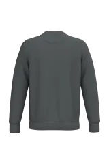 Iron Grey