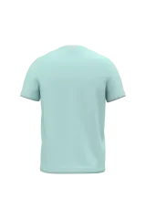 Ice Mint