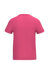 Ideal Fuchsia