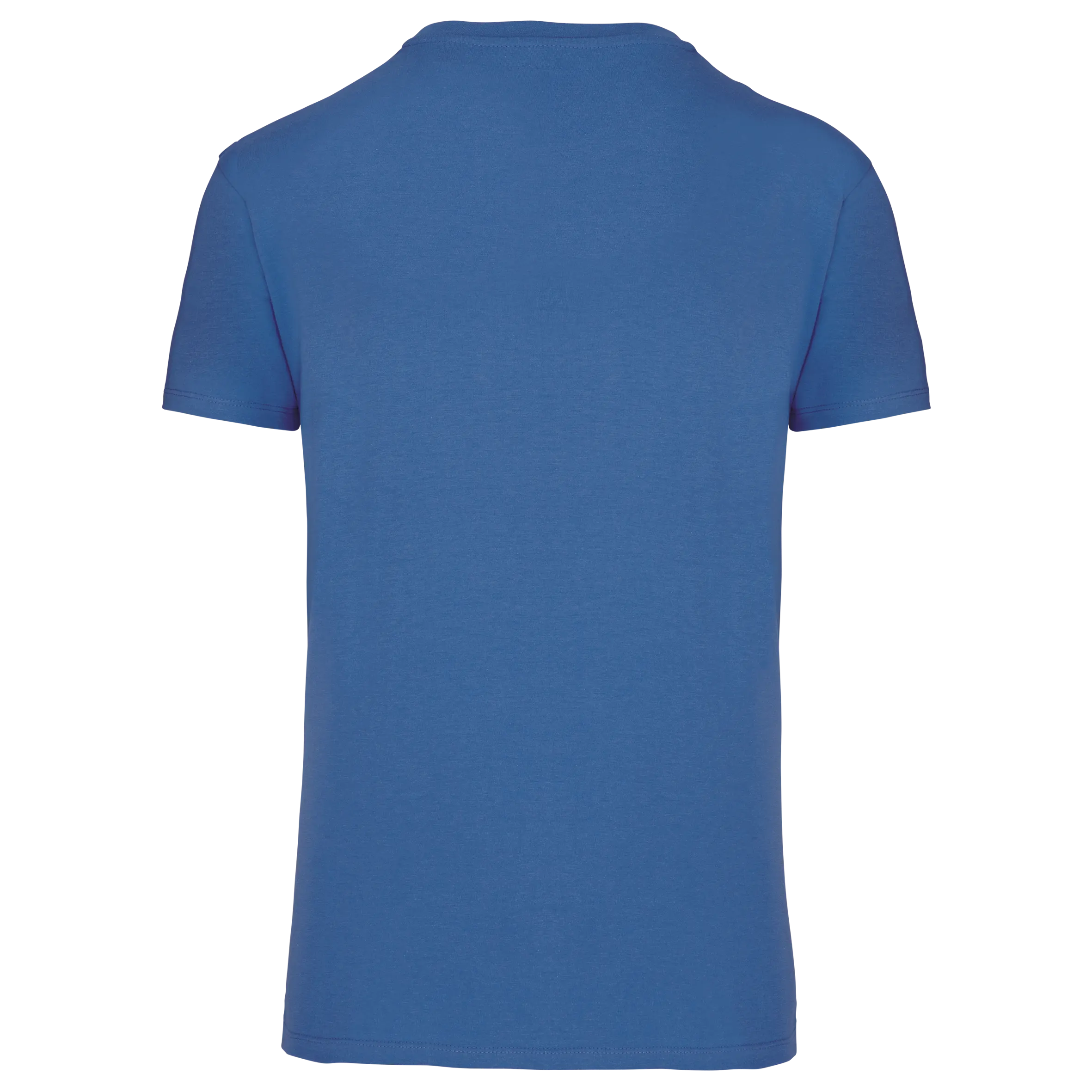 Camiseta BIO150 IC cuello de pico hombre
