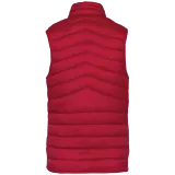 Hibiscus Red