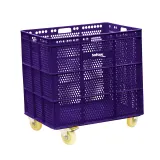 Morado
