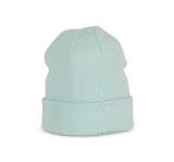 Ice Mint
