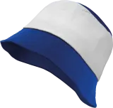 Royal Blue / White