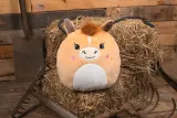 Peluches Squidgy's