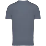 Mineral Grey