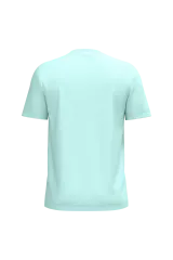 Ice Mint