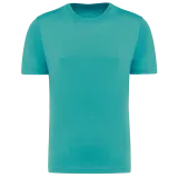 Camiseta triblend Sport