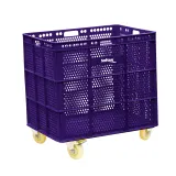 Morado