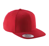 Gorra visera plana - 6 paneles