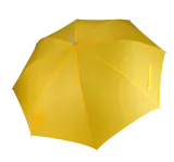 True Yellow
