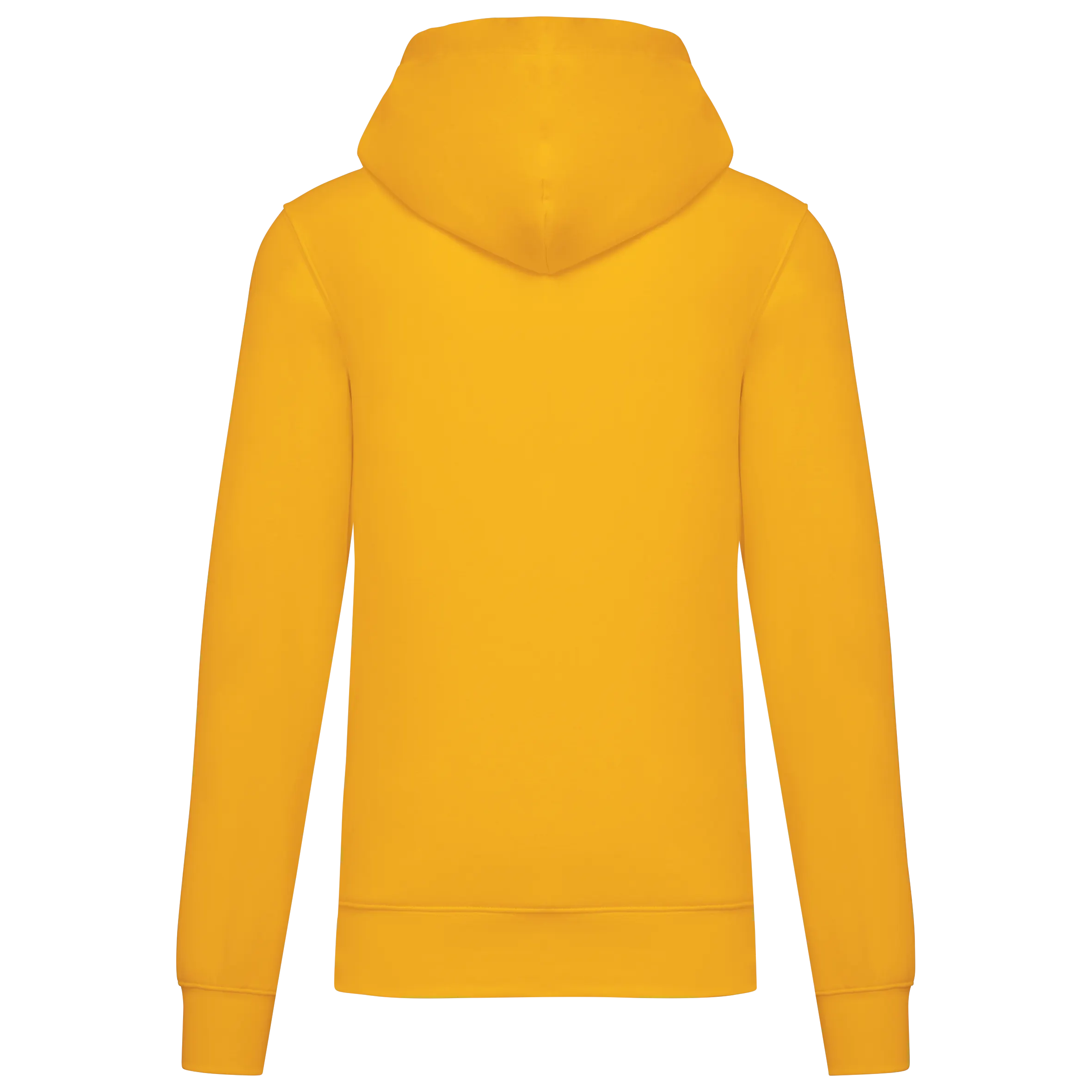 Sudadera capucha ecorresponsable hombre