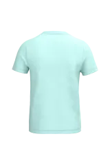 Ice Mint