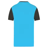 Light Turquoise / Dark Grey