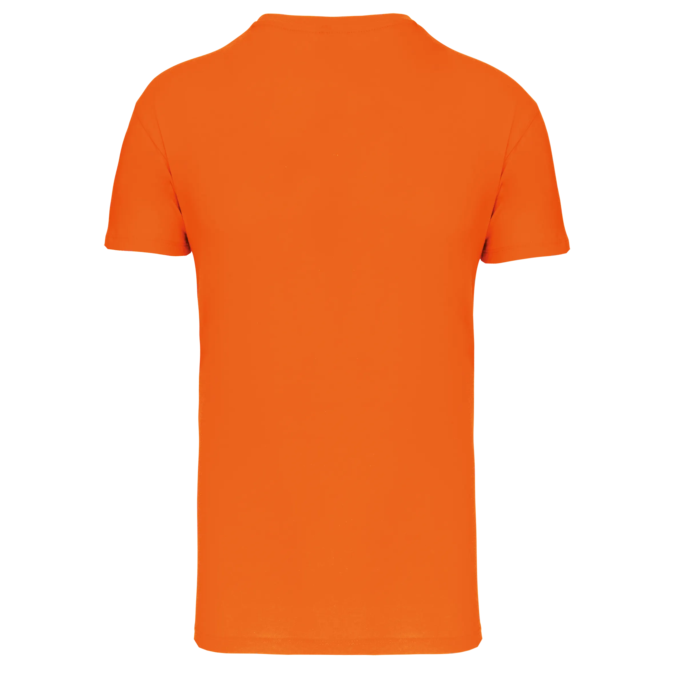 Camiseta BIO150 IC cuello de pico hombre