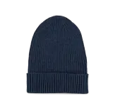 Insignia Blue