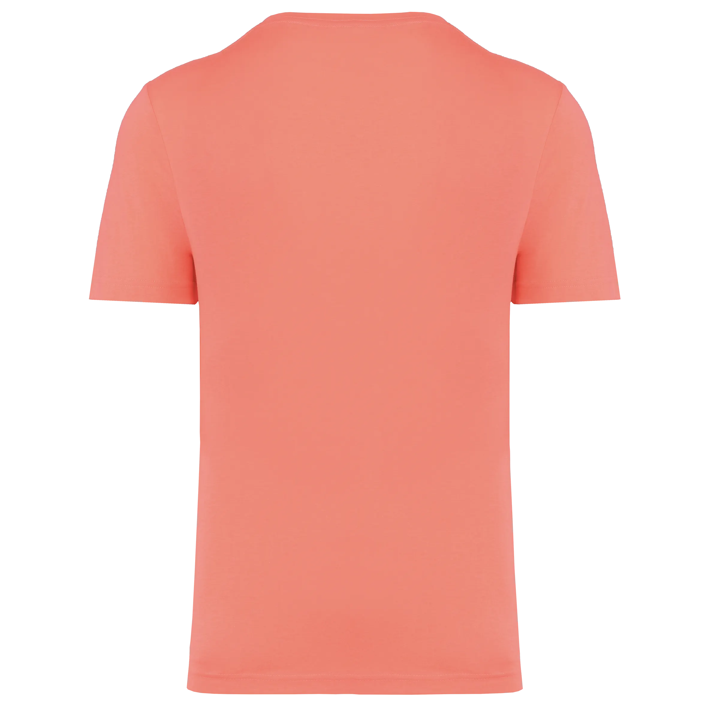Camiseta triblend Sport
