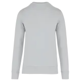 Snow Grey