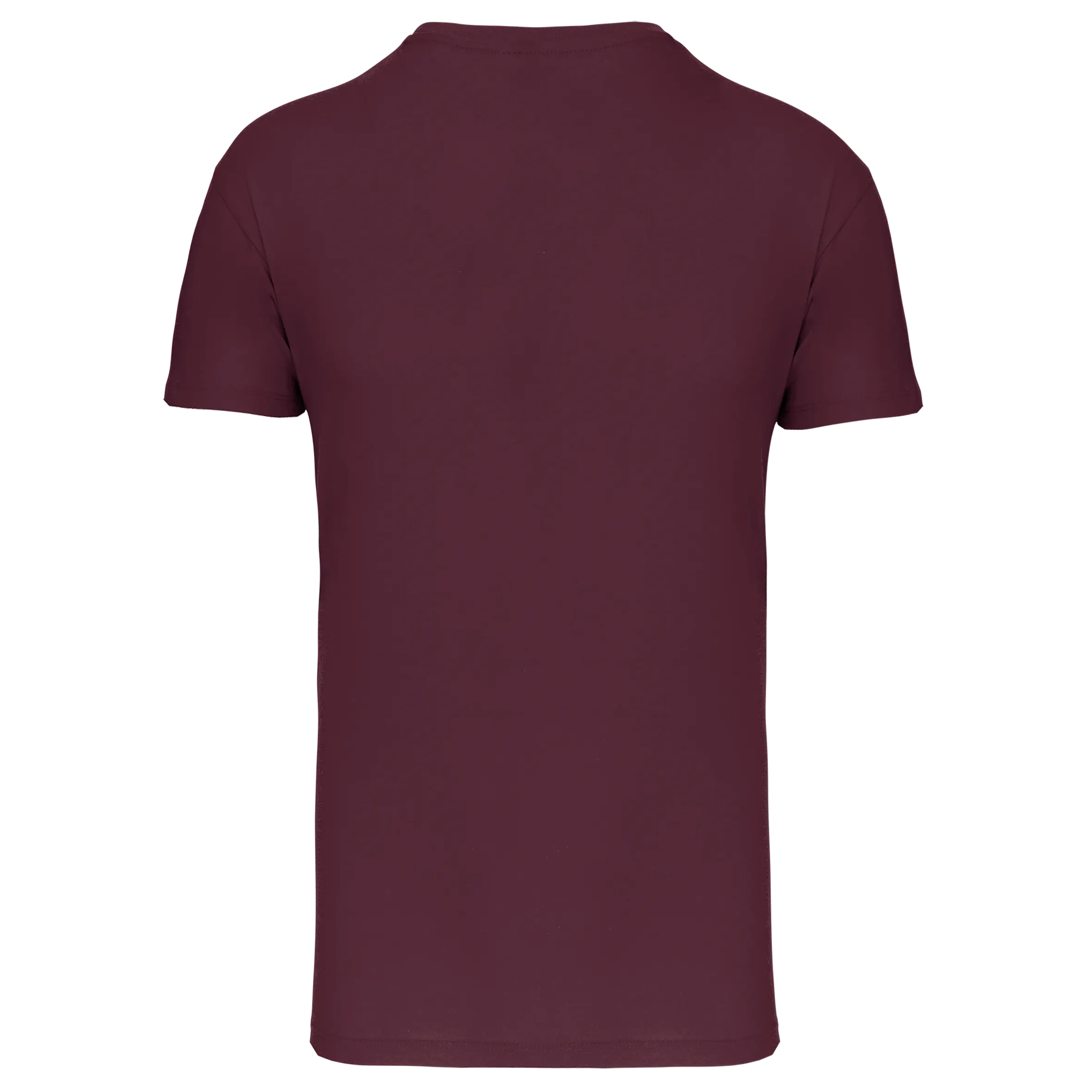 Camiseta BIO150 IC cuello de pico hombre