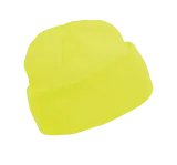Fluorescent Yellow