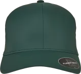 Gorra Flexfit Delta