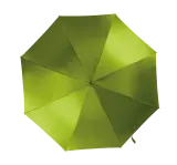 Burnt Lime