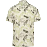 Ivory Palm Leaves