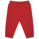 Terracotta Red