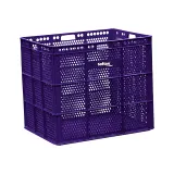 Morado